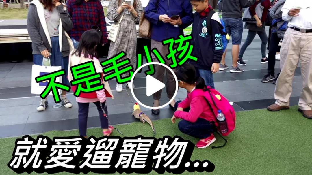 【驚奇生活】vlog33逛台中大遠百遇見遛寵物Taichung Far Eastern Department Store meets pets