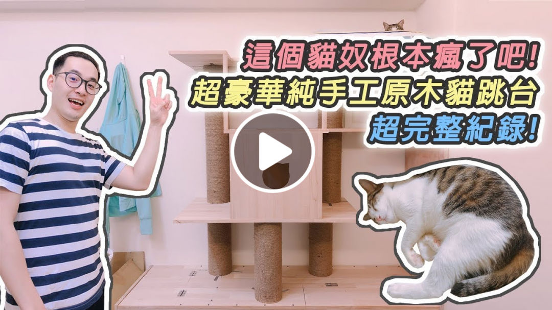 【Ichy Lo 一起羅】 這...這個貓奴根本瘋了吧! 超豪華純手工原木貓跳台! 超完整記錄! ft.lolo