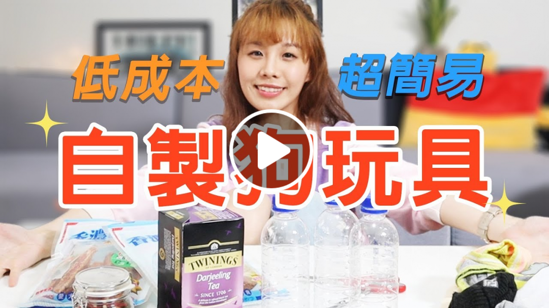 汪星人大搞破壞？一招輕鬆解決！