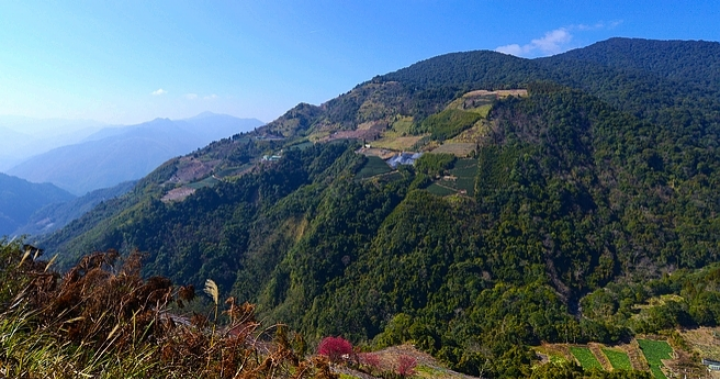 桃園・拉拉山（達觀山）自然保護區｜在神木巨林群間環繞包圍的步道「森呼吸」 | 時刻旅行