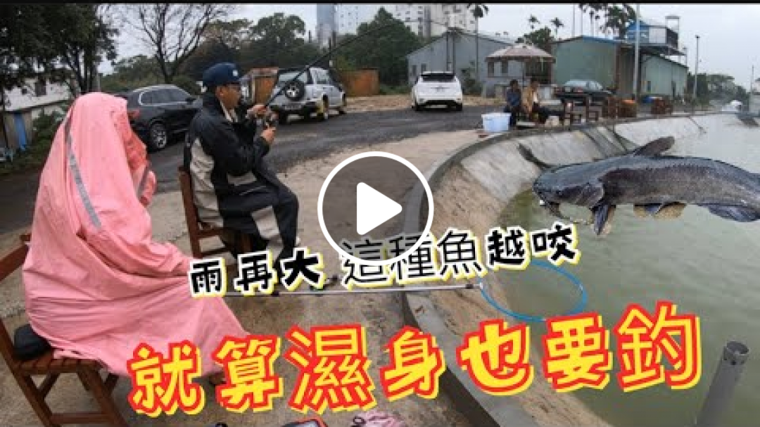 下雨天還穿著雨衣釣魚!只因這個釣點魚實在太多! 海岸海釣場八德場