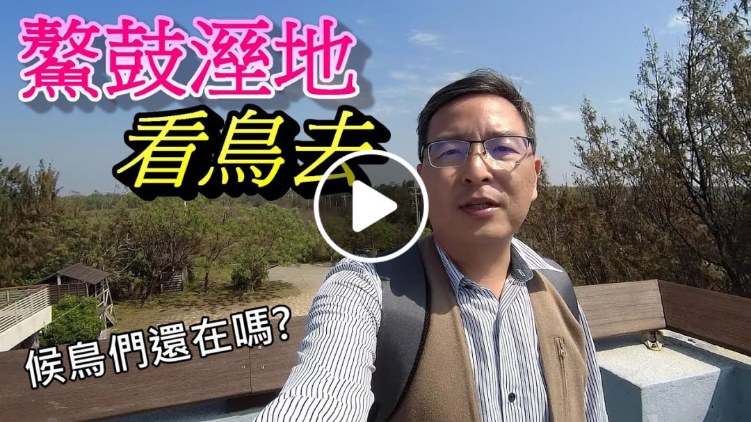 嘉義景點/鰲鼓濕地黑面琵鷺原來從南北韓界之無人島飛來!東石鰲與鼓【鄉土嘉義】EP54 Migratory birds in Aogu Wetland