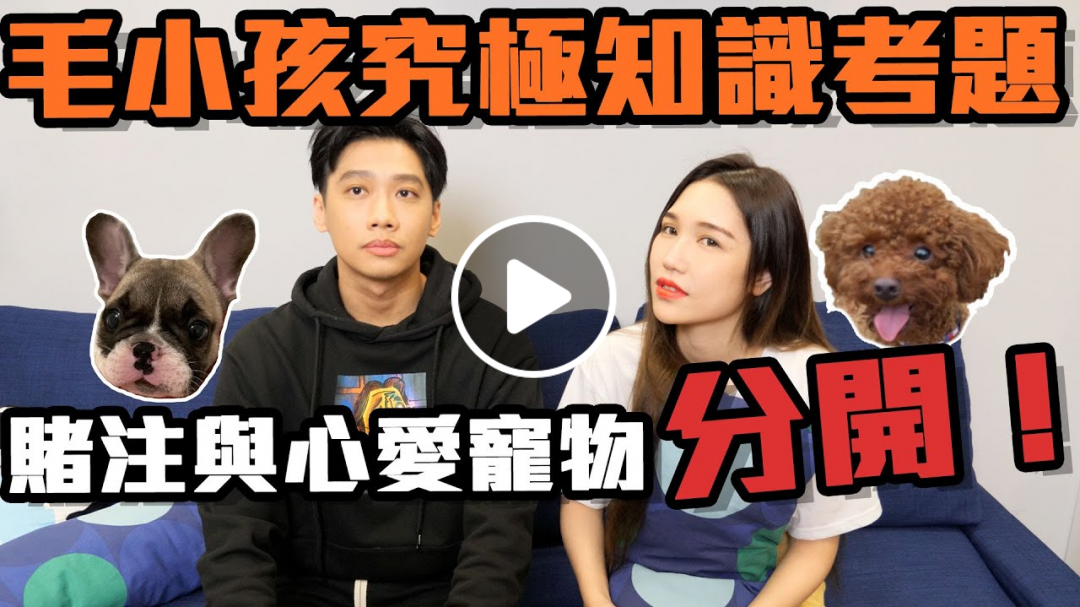 這群人尼克｜Ashly｜毛小孩究極知識考題！賭注與心愛寵物分開