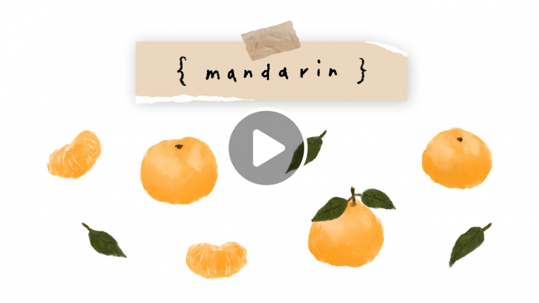 Mandarin Watercolor Drawing - 水彩風格橘子插畫教學