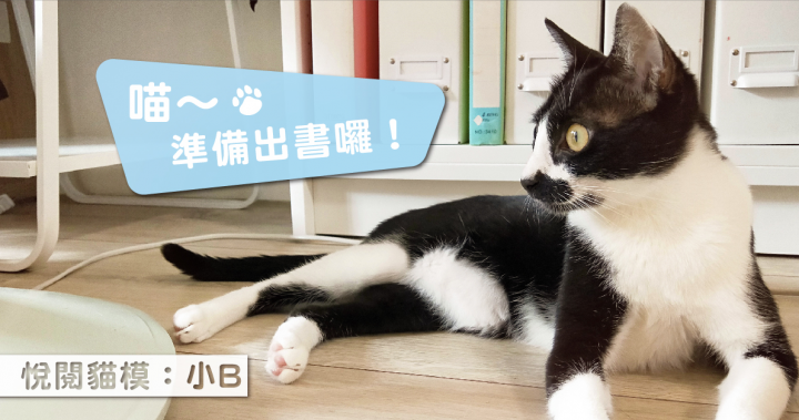 首波實體書出版預定