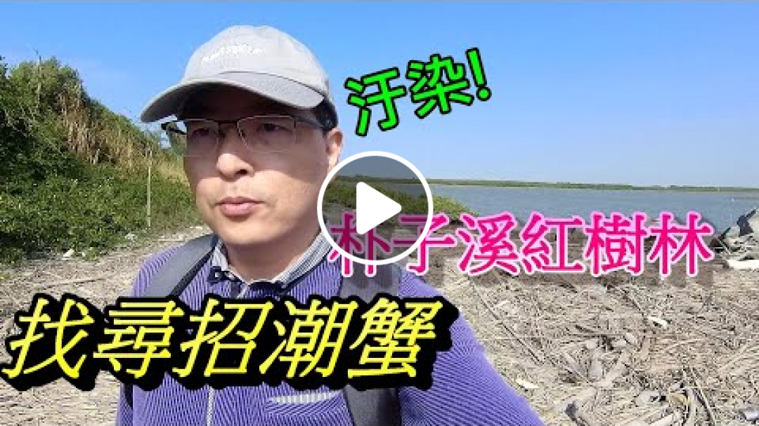 【鄉土嘉義】EP43朴子溪紅樹林生態汙染 ! 召集夥伴淨灘|海埔堤防|招潮蟹|彈塗魚Puzi river mangrove pollution