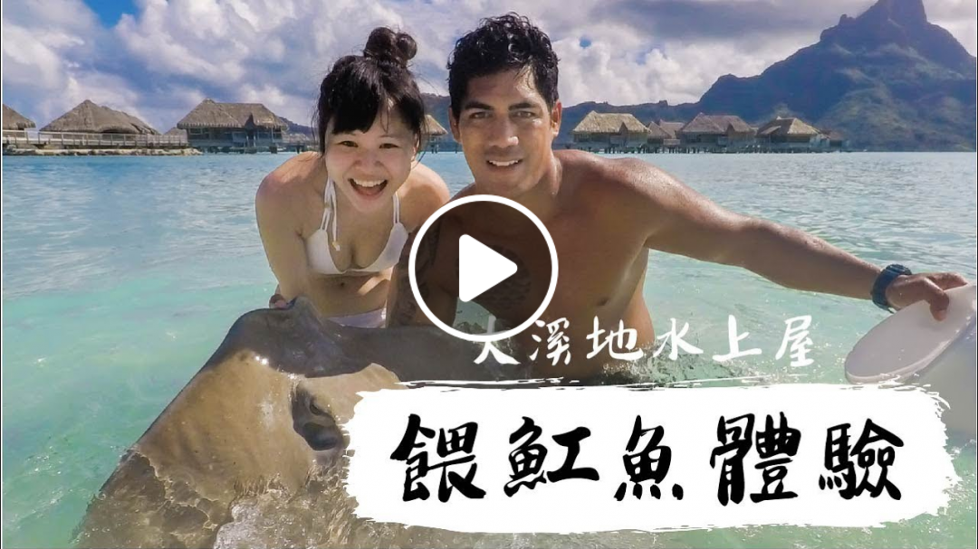 旅行日常｜有錢人體驗營？在高級水上度假村餵魟魚！｜豬豬隊友 Scott & Wendy