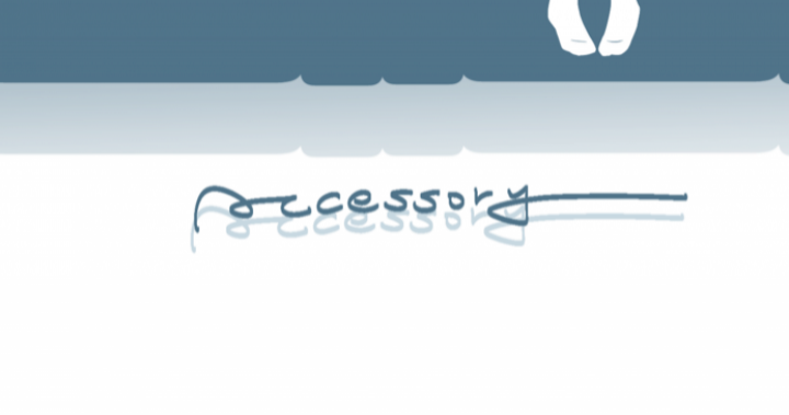 Accessory