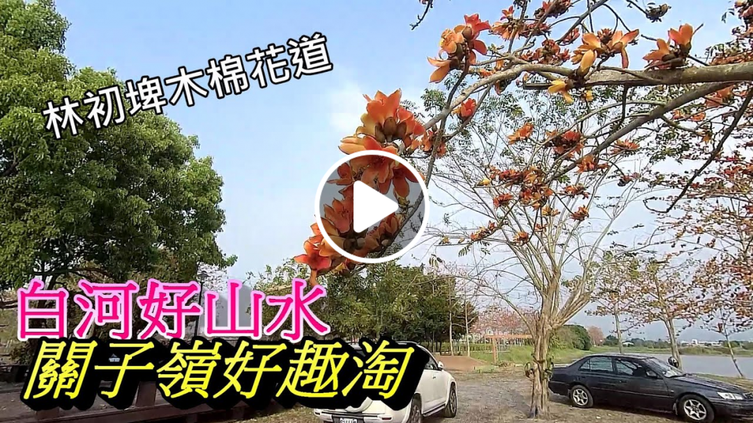 台南景點/關子嶺好趣淘白河好山水|林初埤木棉花道|大仙寺三寶殿好雄偉|站在嶺頂公園高唱關子嶺之戀【鄉土台南】EP52 Good landscape in Baihe