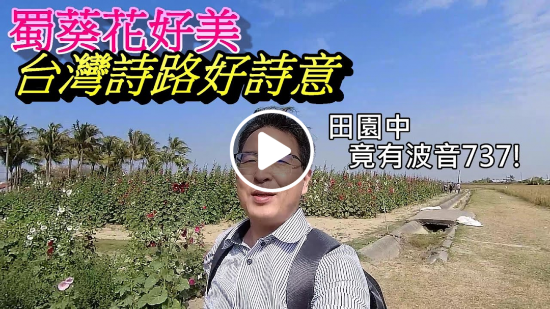 台南景點/蜀葵花季台灣詩路唯美有詩意/田野中竟有波音737!【鄉土台南】EP53 Hollyhock flower season beautiful appearance